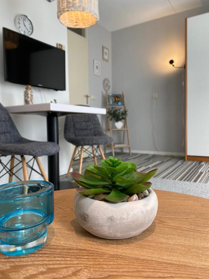 Apartment Texelheerlijk 10 *